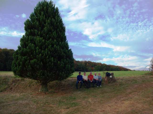 Foto(c)H.-Ulrich Apel