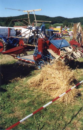 Foto(c)H.-Ulrich Apel